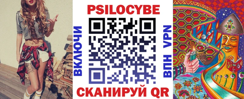 Галлюциногенные грибы Psilocybine cubensis  Карачаевск 